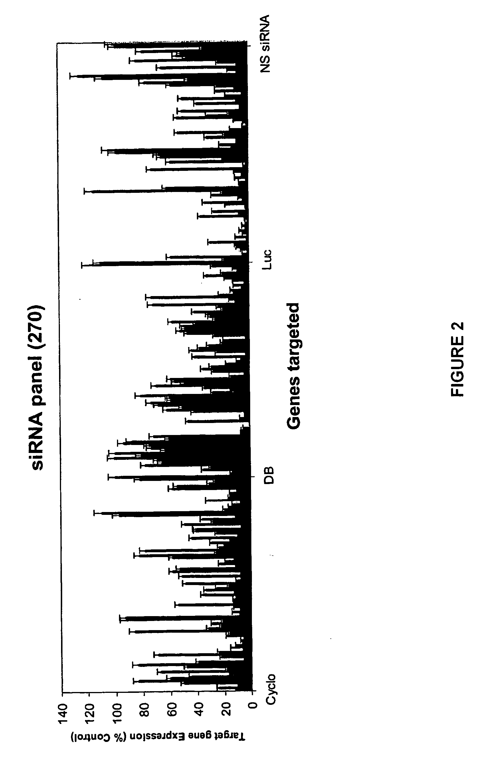 siRNA targeting ras-related nuclear protein