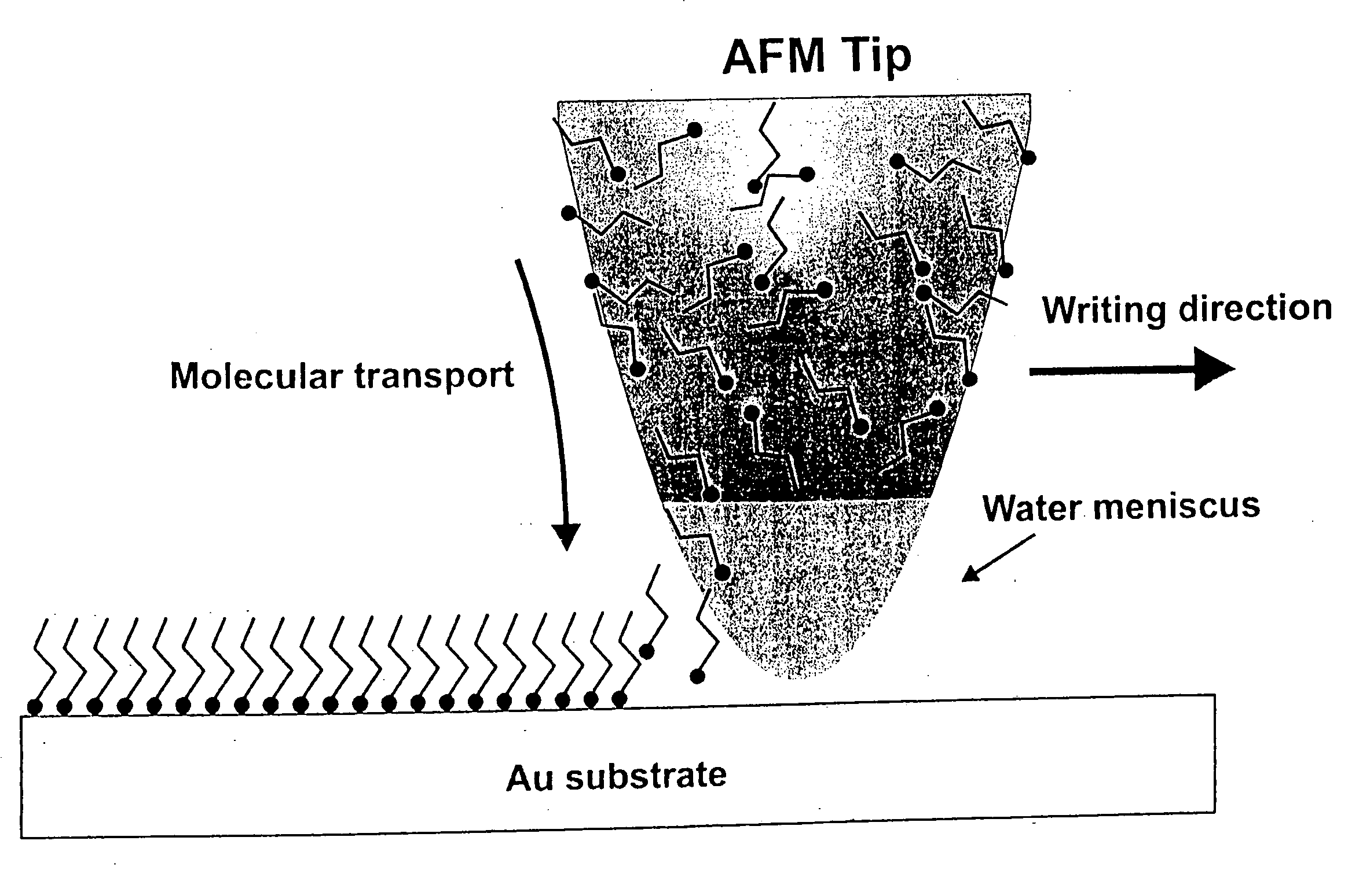 Methods utilizing scanning probe microscope tips and products thereof or produced thereby