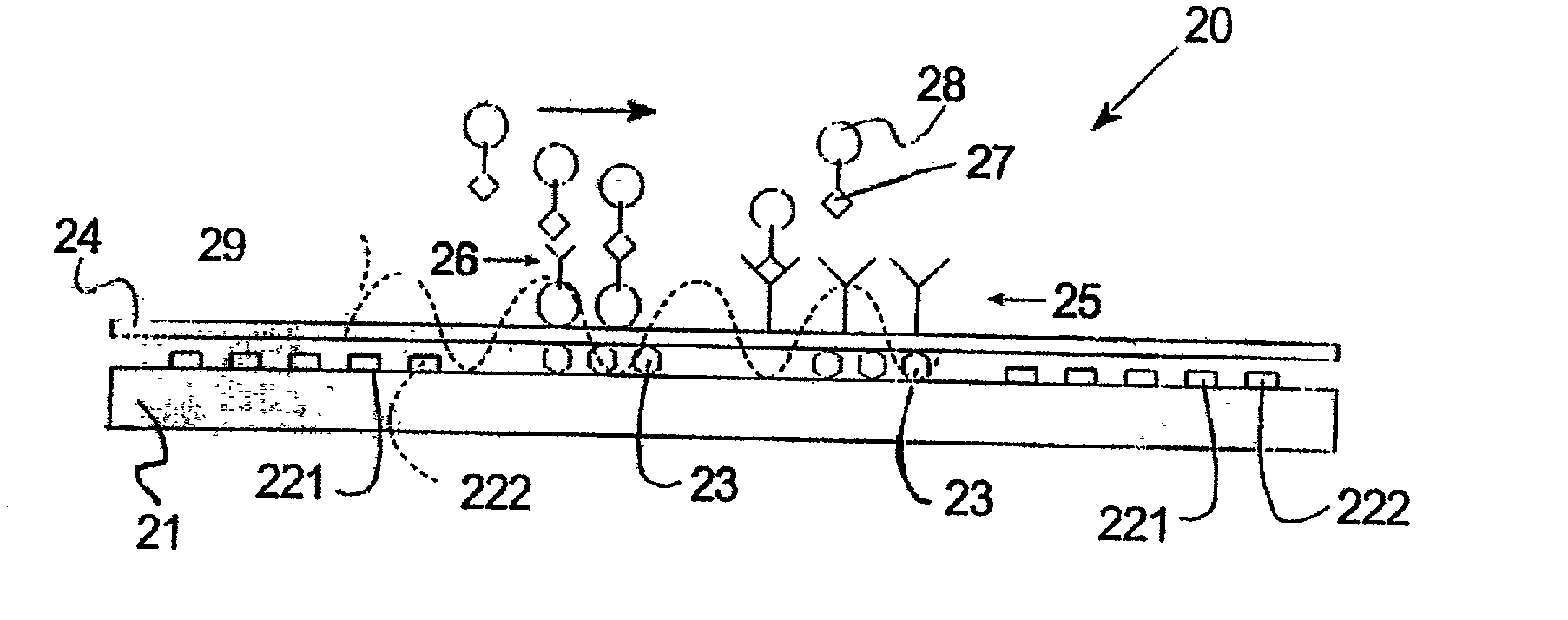 Systems and methods for localizing and analyzing samples on a bio-sensor chip