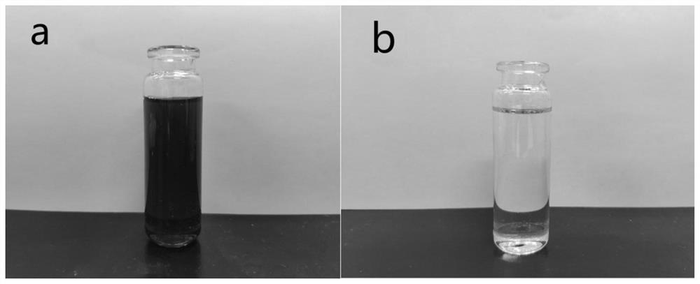 Method for synchronously extracting and separating lycium barbarum protein and polysaccharide