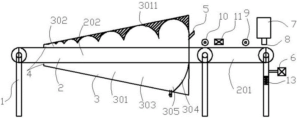 Sheet jelly steaming device