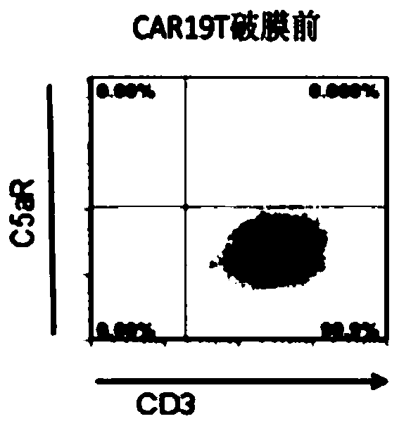 A method for detecting the number of car-t cells