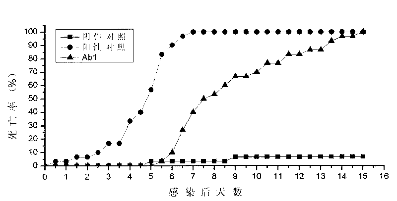 Envelope protein VP28 idiotype monoclonal antibody against shrimp white spot syndrome virus (WSSV) and preparation method thereof