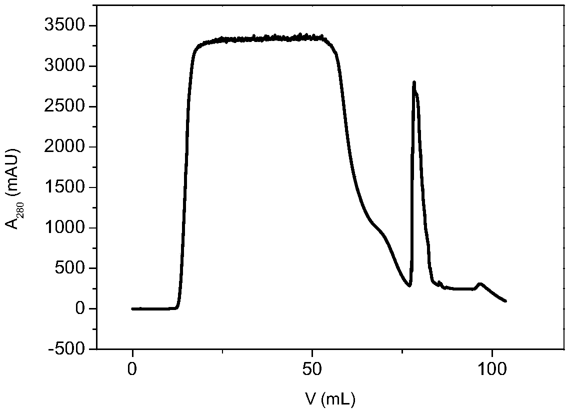 High-load agarose chromatography media and preparation method thereof