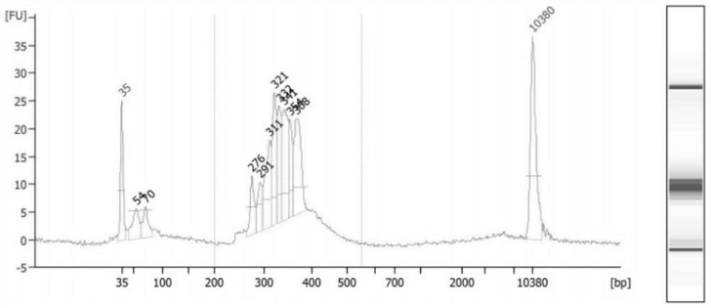 Method for detecting mutation of multiple gene loci by using high-throughput sequencing technology