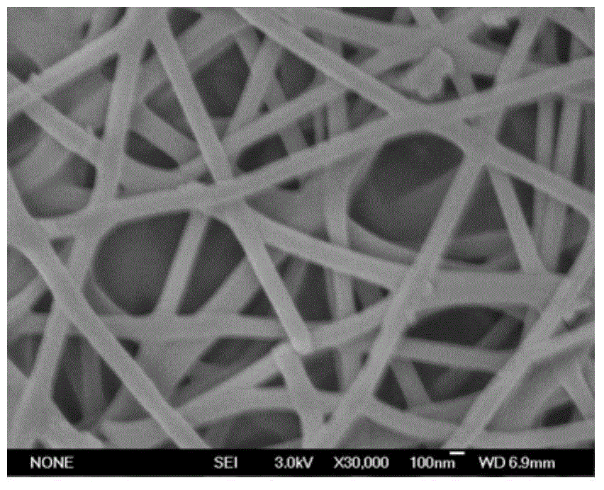 Compound metal oxide water oxidation catalyst and electrostatic spinning preparation method thereof