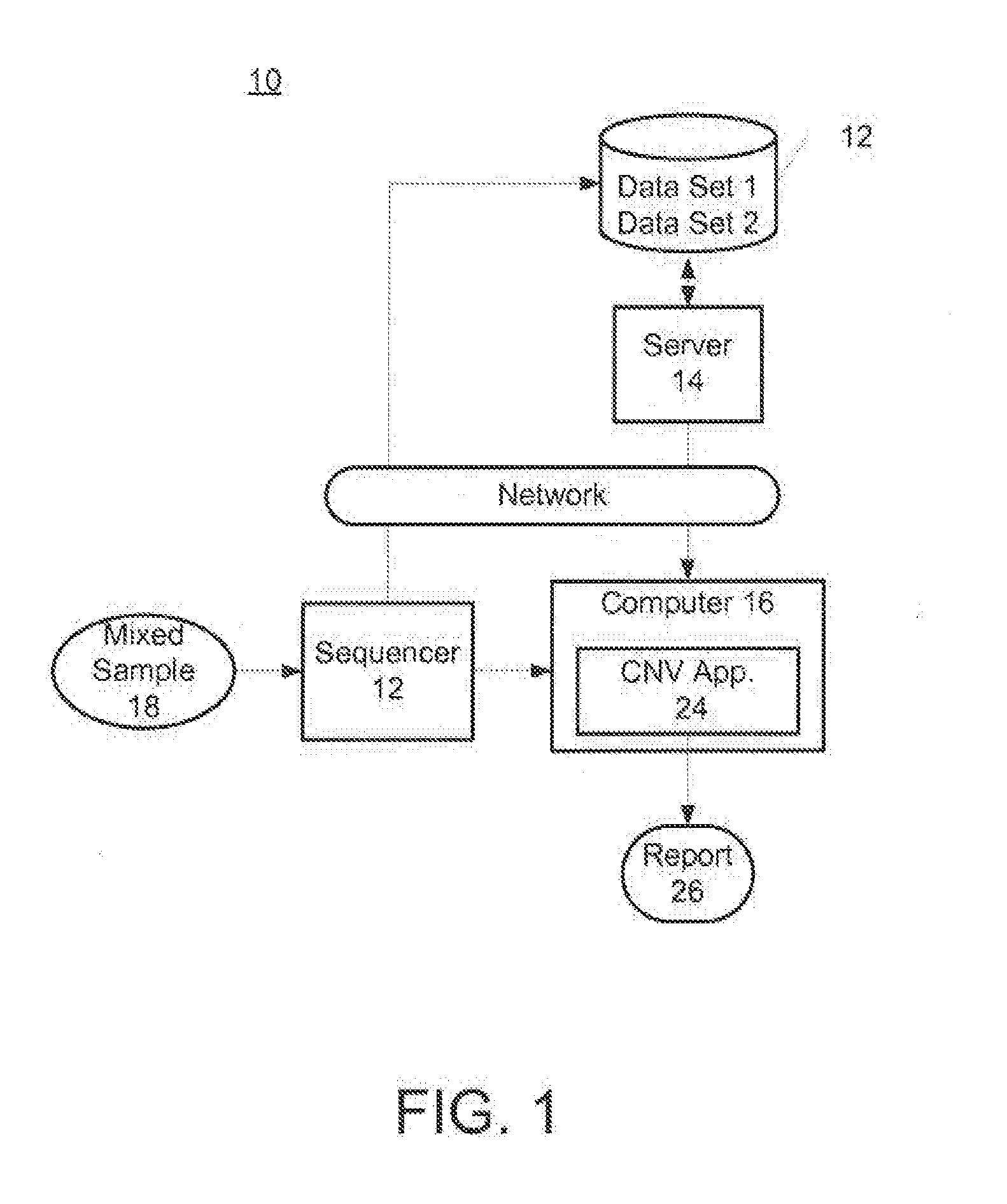 Assay systems for determination of fetal copy number variation