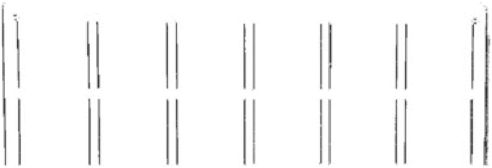 System and method for positioning color block region of 24-color card quickly and automatically