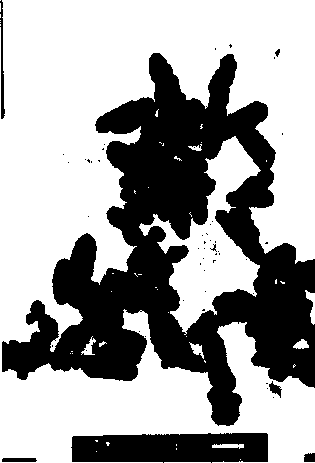 Process for preparing submicron grade superfine calcium carbonate dispersion particle