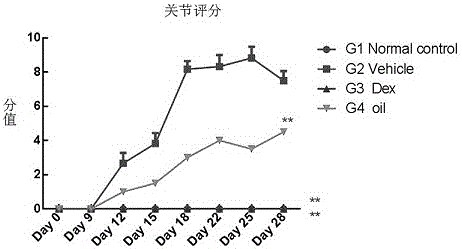 Chinese mugwort essential oil and preparation method and application thereof