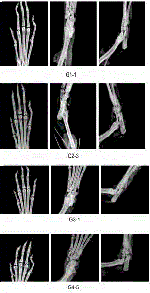 Chinese mugwort essential oil and preparation method and application thereof