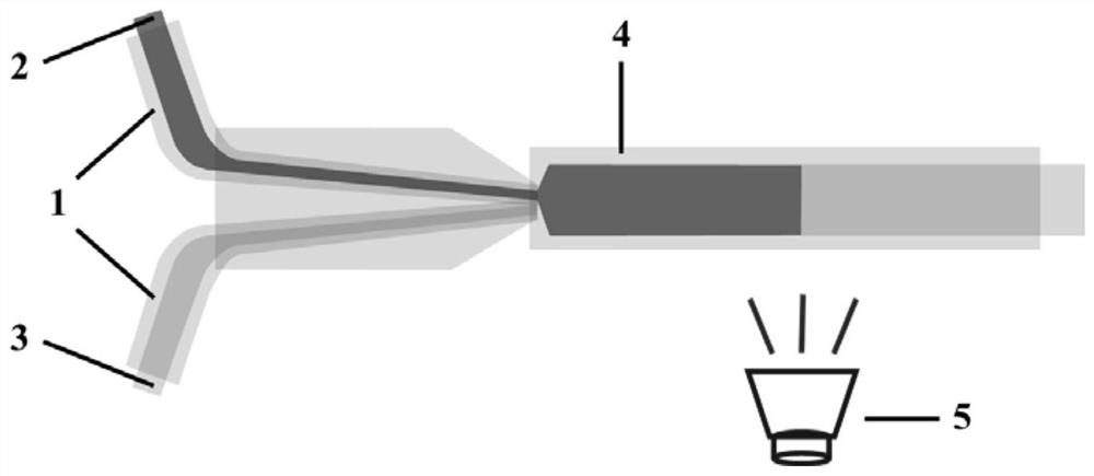 A structural color microfiber with heterogeneous structure and its preparation method and cardiomyocyte detection method