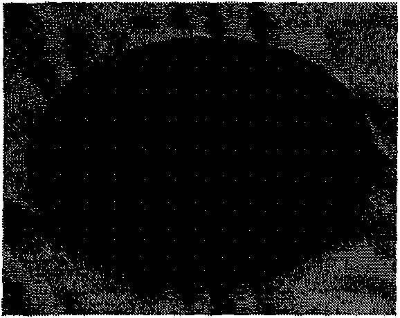 Method for preparing diamond-like film on germanium substrate