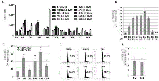 Application of alkannin and its derivative as gene therapy sensitizer