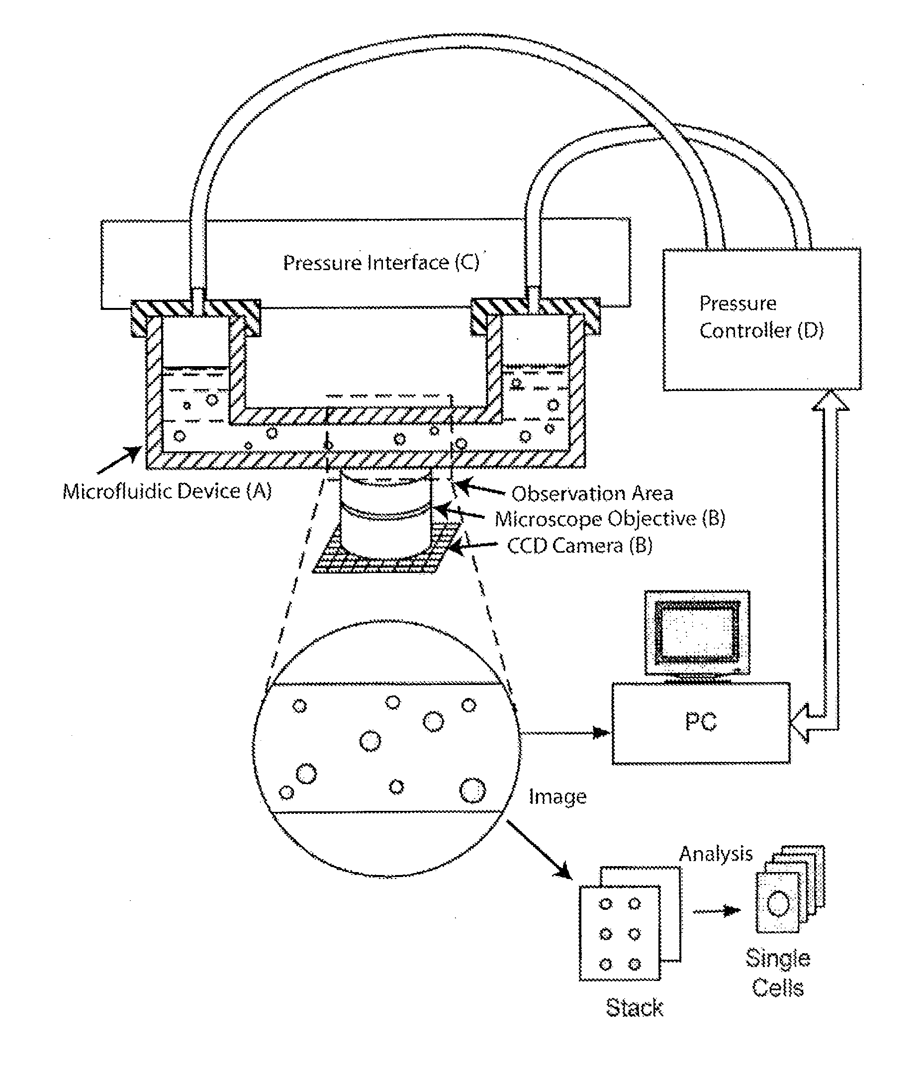 Methods and apparatus for the manipulation of particle suspensions and testing thereof