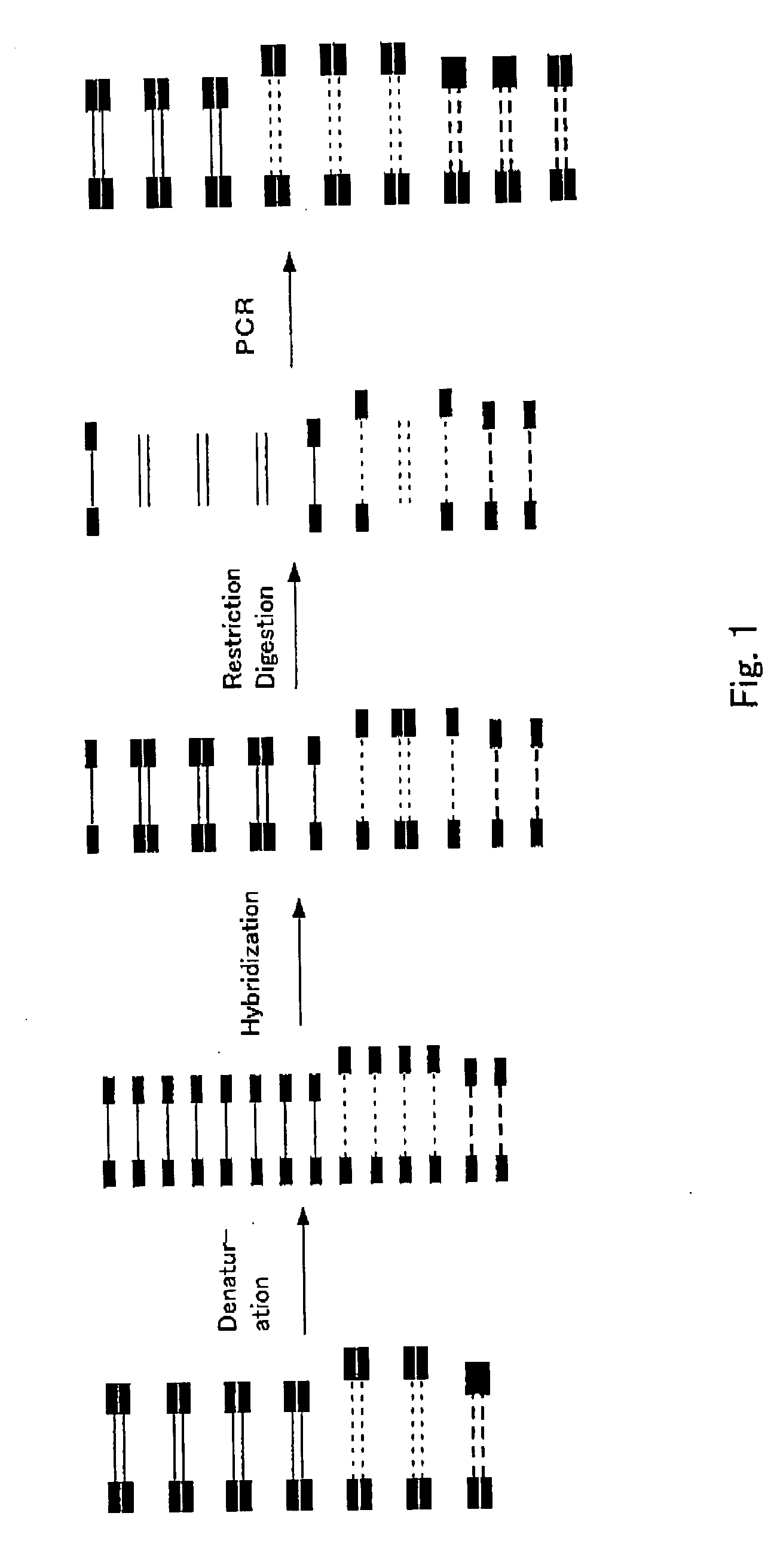 Method of uniformizing dna fragment contents and subtraction method