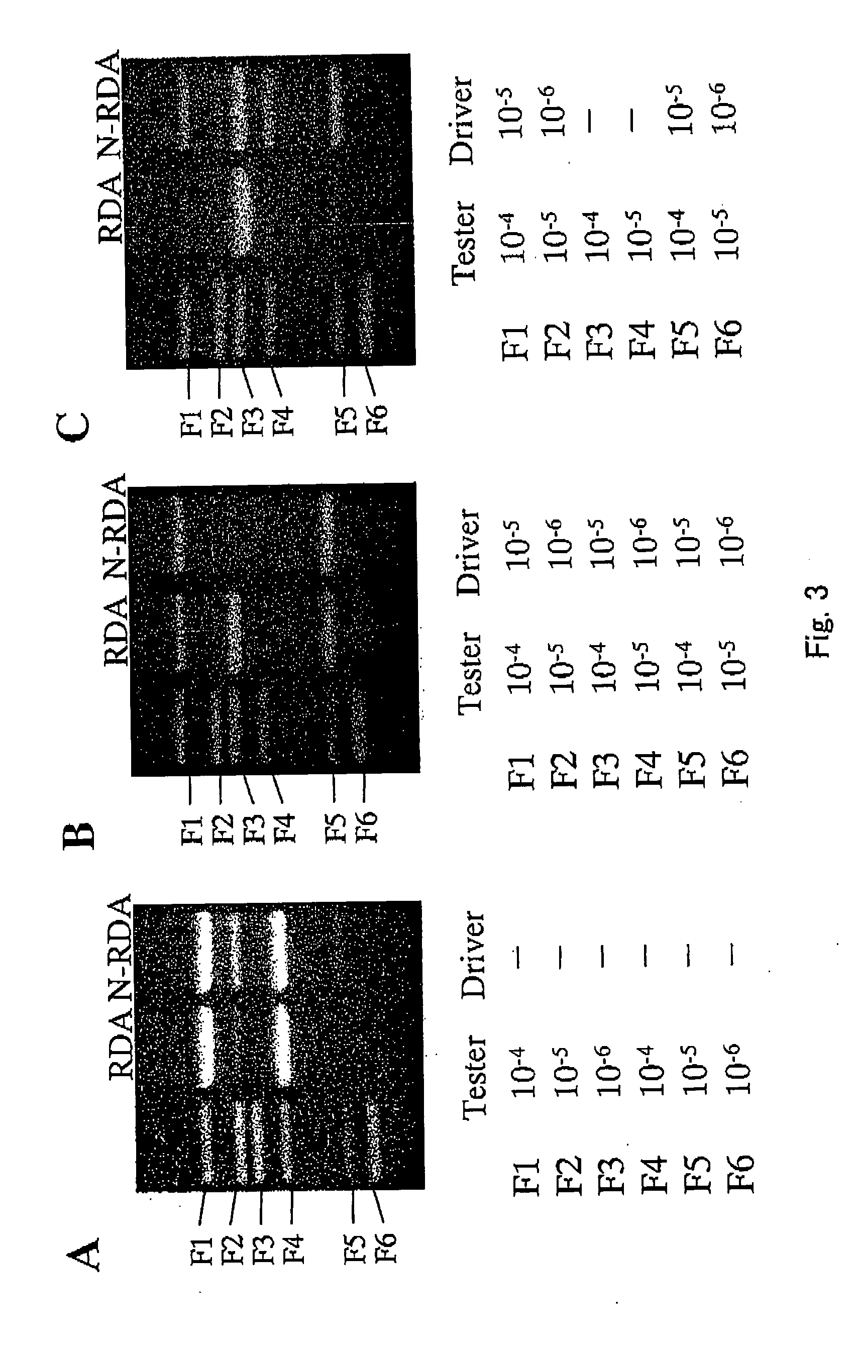 Method of uniformizing dna fragment contents and subtraction method