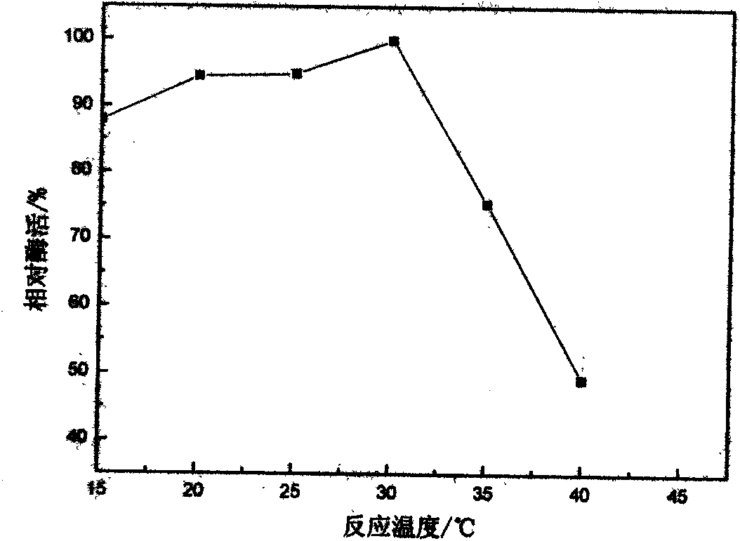 Acinetobacter johnsonii LP28 and method for preparing low-temperature alkali lipase by using acinetobacter johnsonii