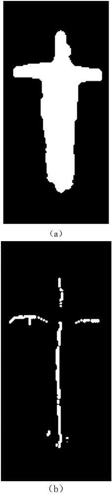 Human posture recognition method based on skeleton feature point extraction