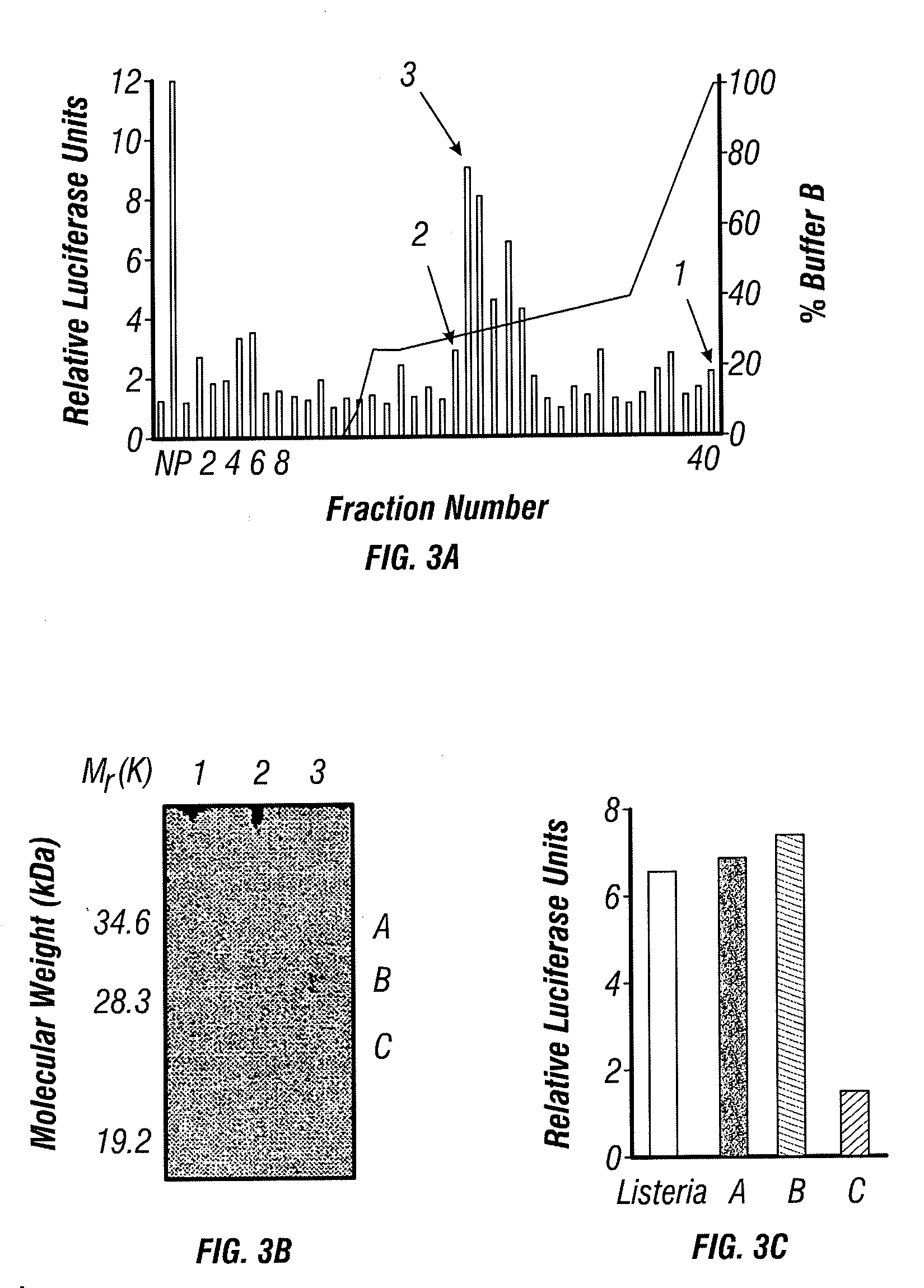 Toll-like receptor 5 ligands and methods of use