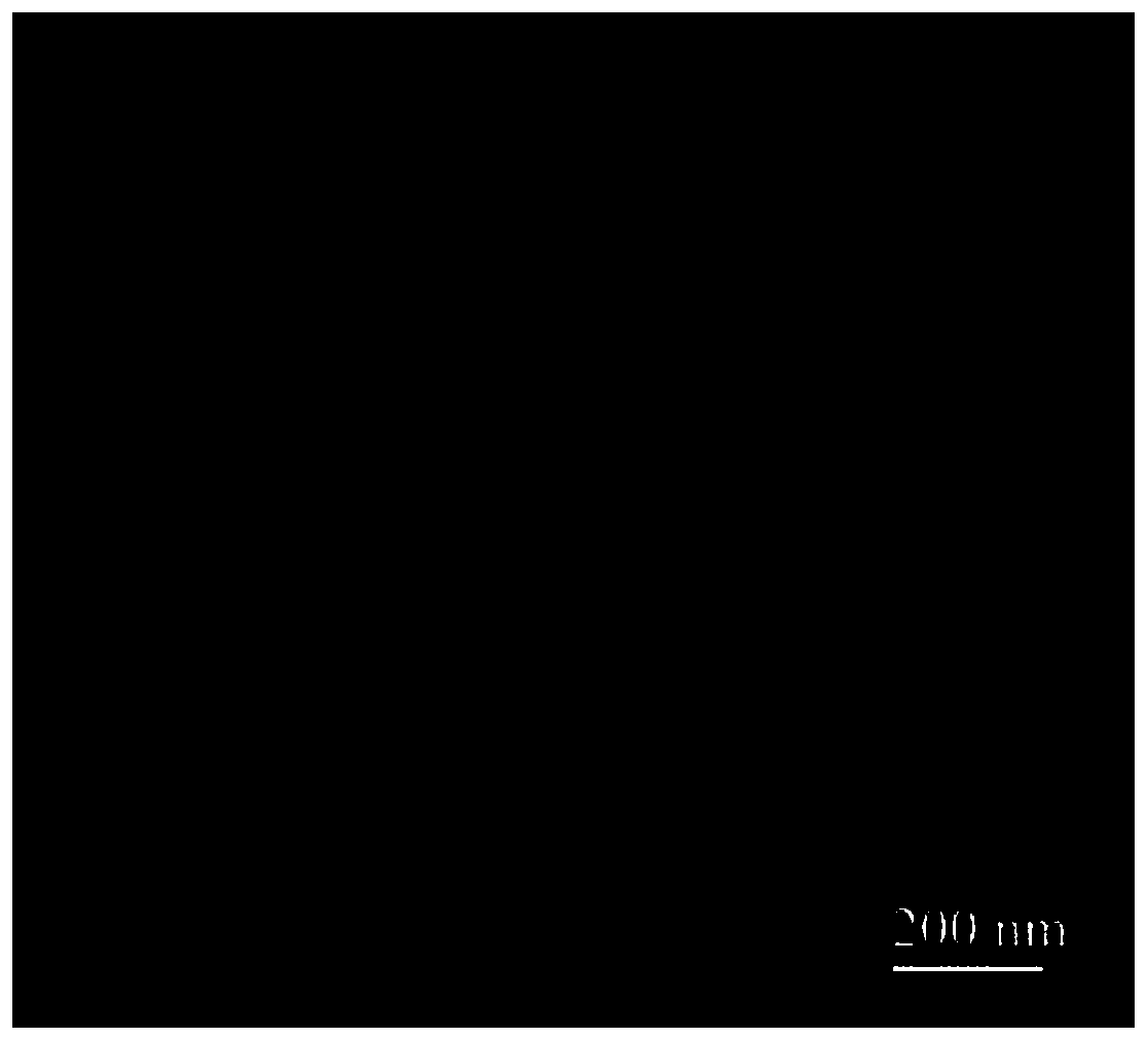 Graded core-shell SnO2 microspheres as well as preparation method and application thereof