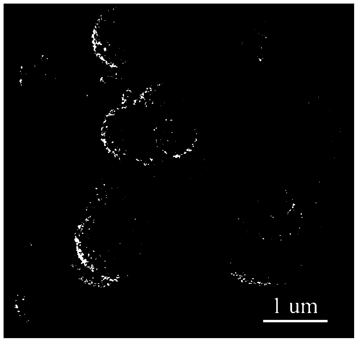 Graded core-shell SnO2 microspheres as well as preparation method and application thereof