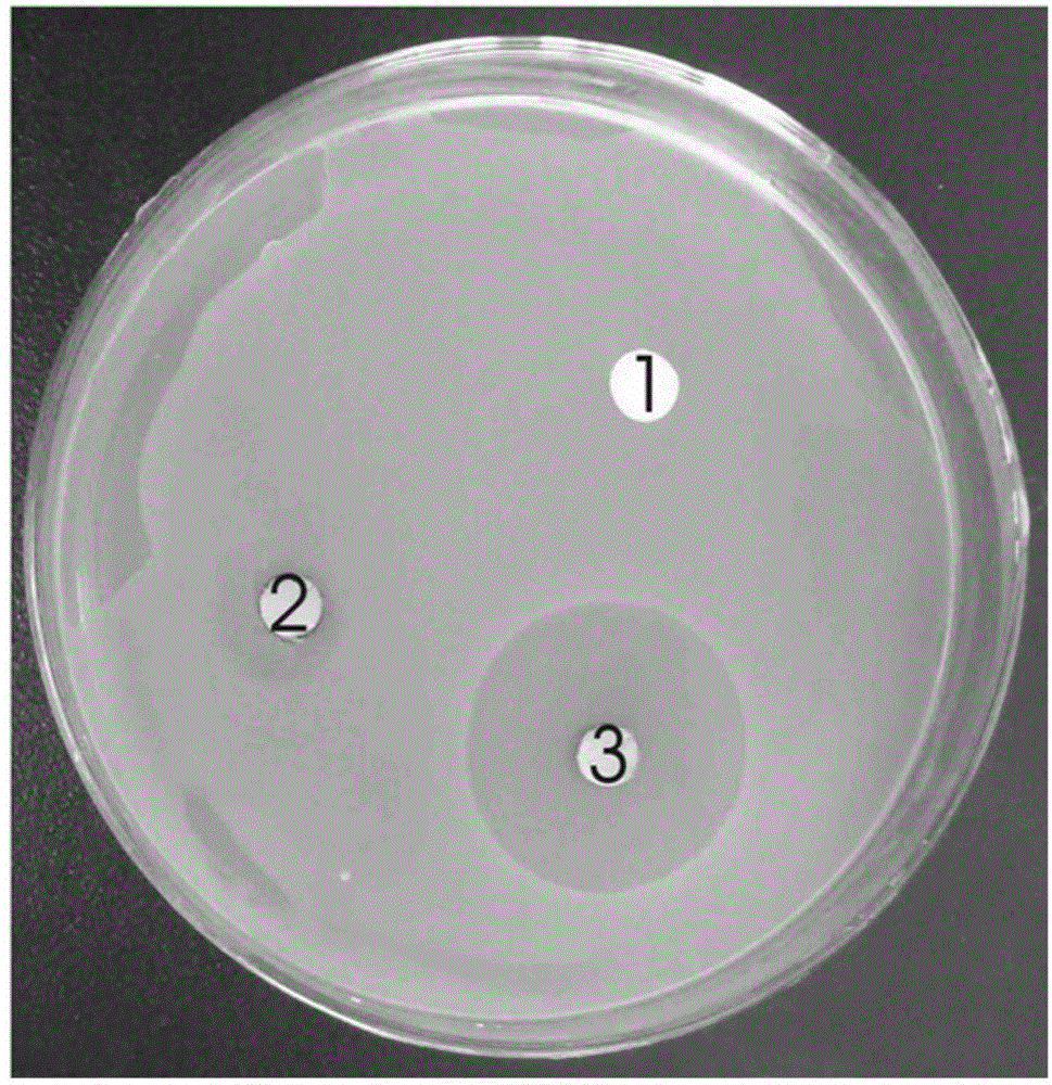 Method for preparing medicine-carrying nanofibers of core-shell structure by virtue of Pickering emulsion electrospinning