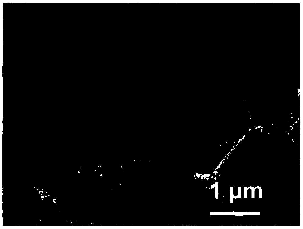 Flexible three-dimensional layered MXene@indium composite film and preparation method and application thereof