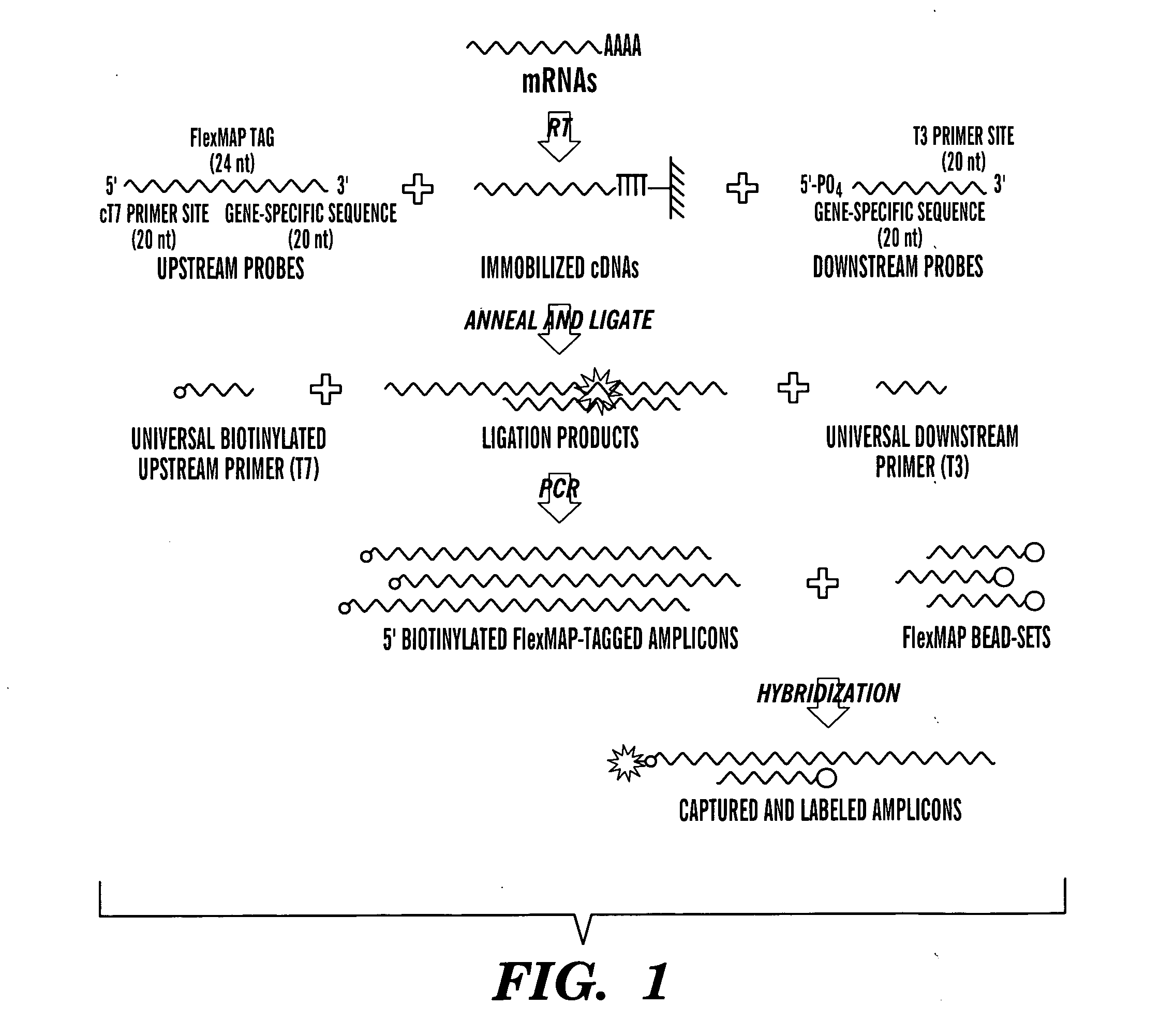 Solution-based methods for RNA expression profiling