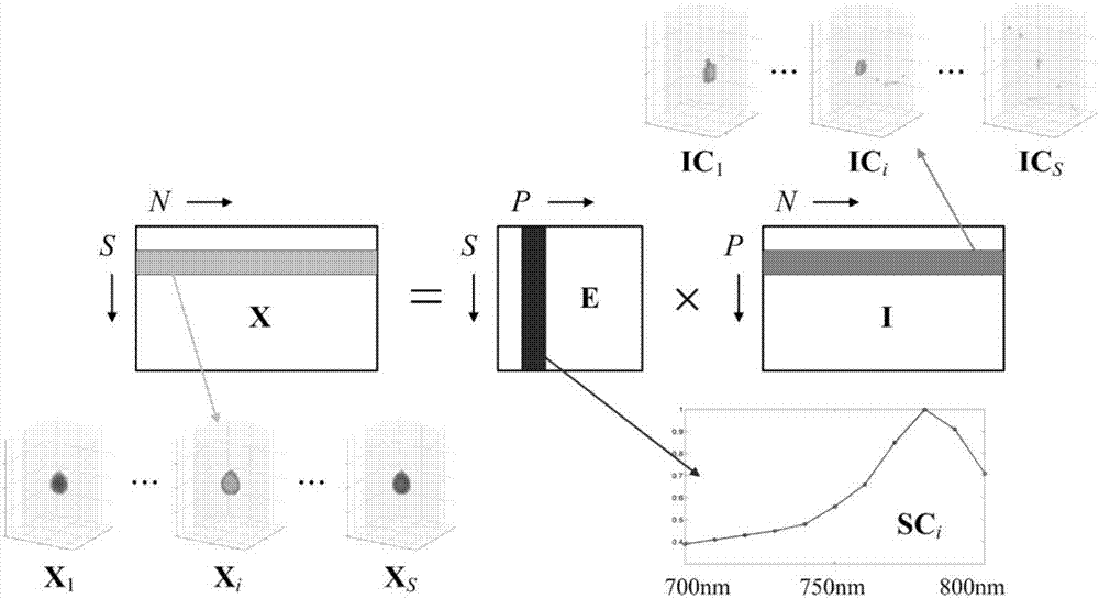 Processing method and system for dynamic fluorescence molecular tomography