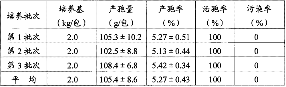 Bag type solid cultivation process for Metarhizium anisopliae