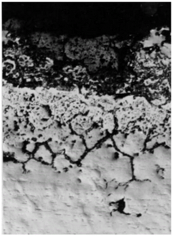 Heat-resistant alloy resisting to sulfur corrosion and rod production method thereof