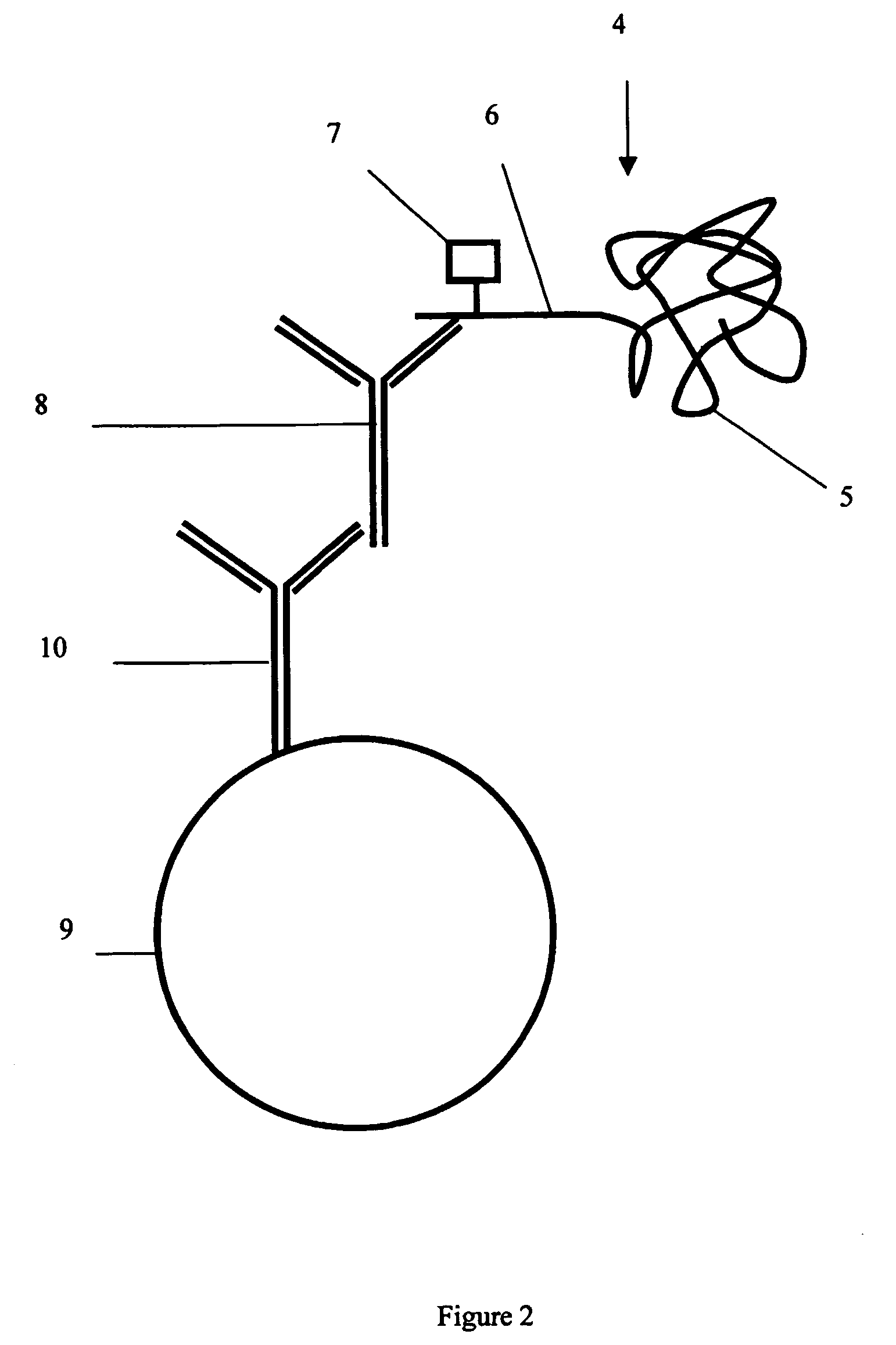 Protein analysis