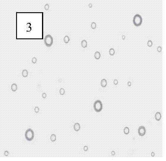 Linseed oil microcapsules capable of rapid film formation and timely repair of scratches and preparation method thereof