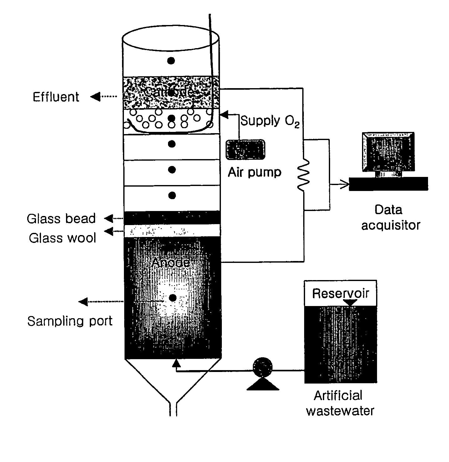 Membraneless and mediatorless microbial fuel cell