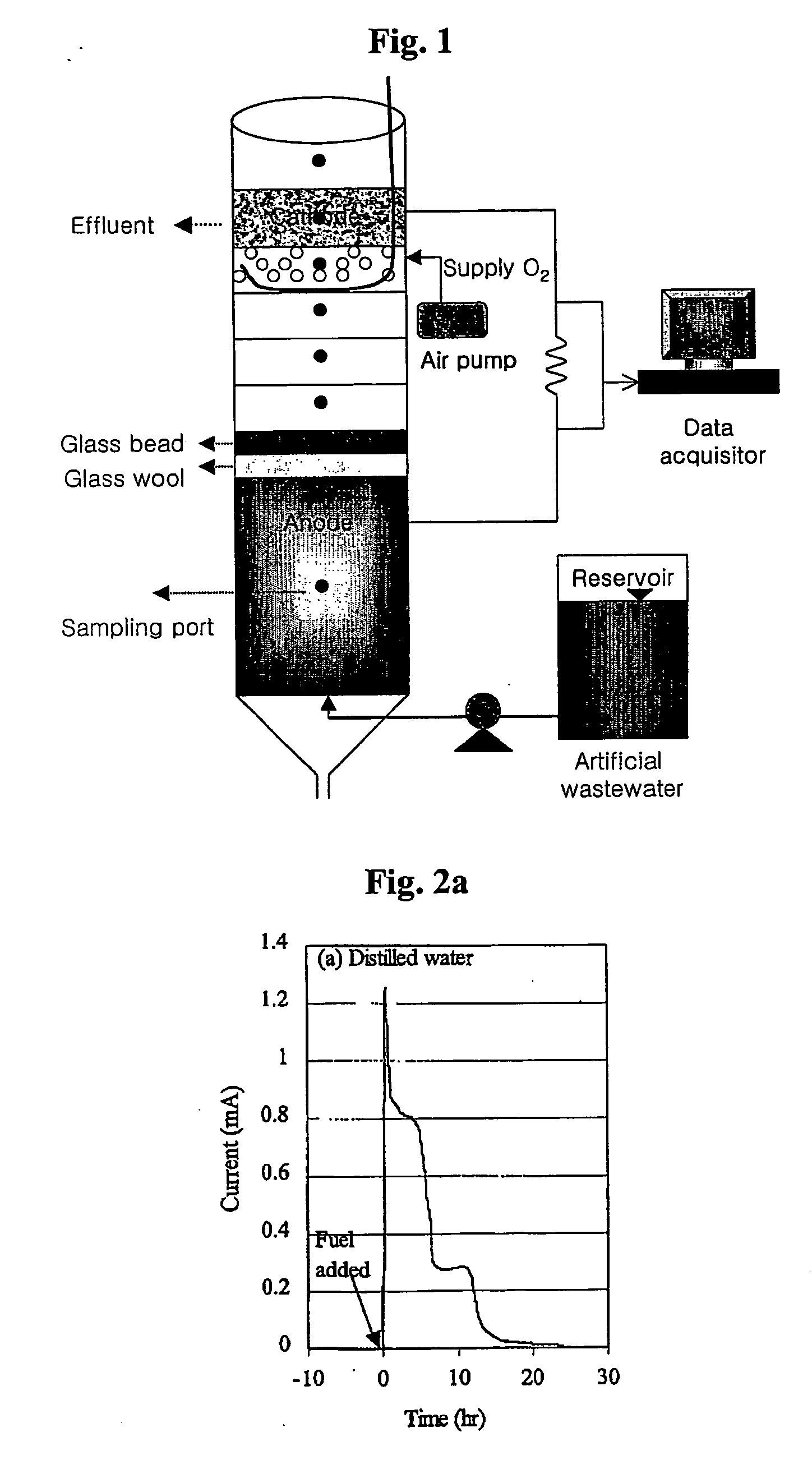 Membraneless and mediatorless microbial fuel cell