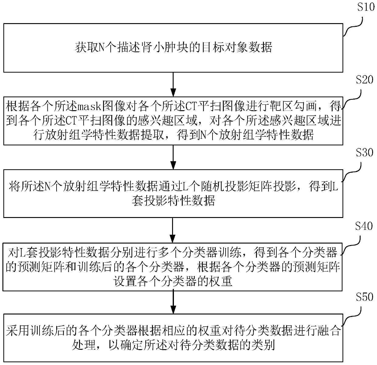 Kidney lump classification method based on random projection