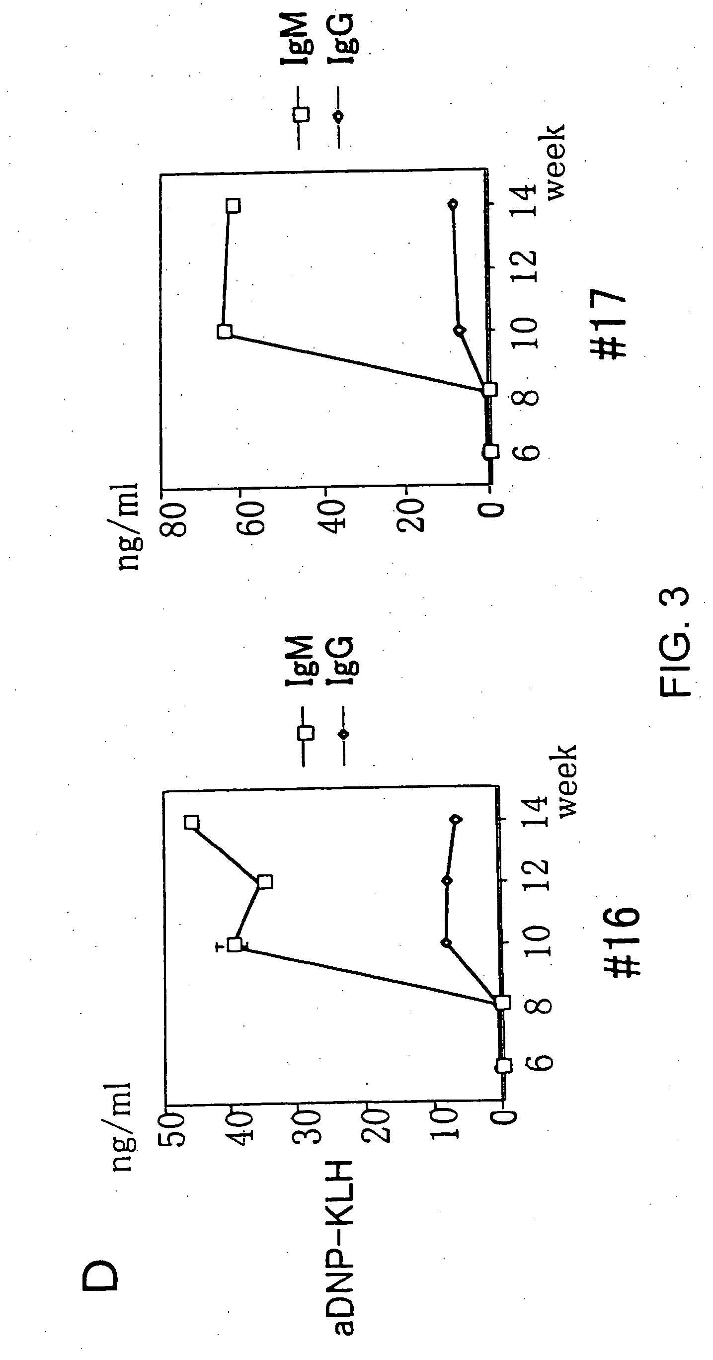 Chimeric mouse having an immune system constructed with human CD34+ cells and use thereof