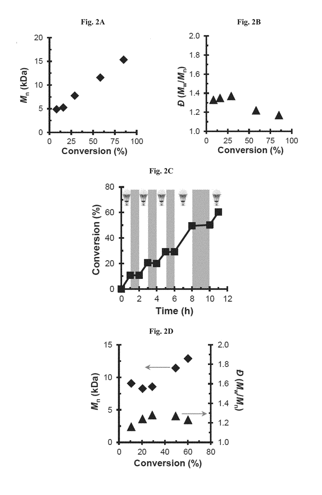 Compositions and methods of promoting organic photocatalysis