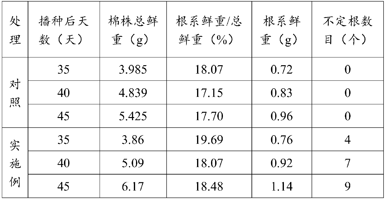 Cotton indoor cultivation method and application thereof