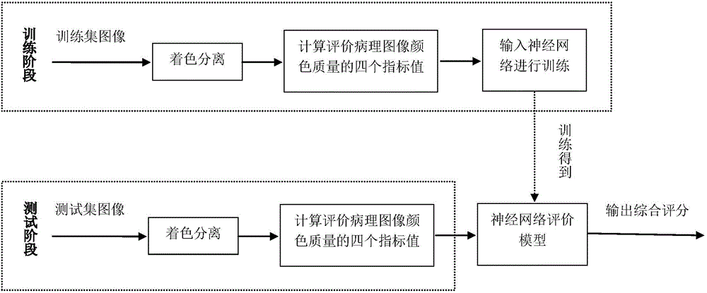 Pathological image color quality comprehensive evaluation method based on color separation