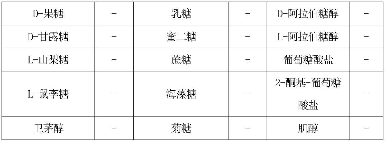 Preparation method and application of weakly post-acidified yogurt compound fermentation agent, and corresponding yogurt