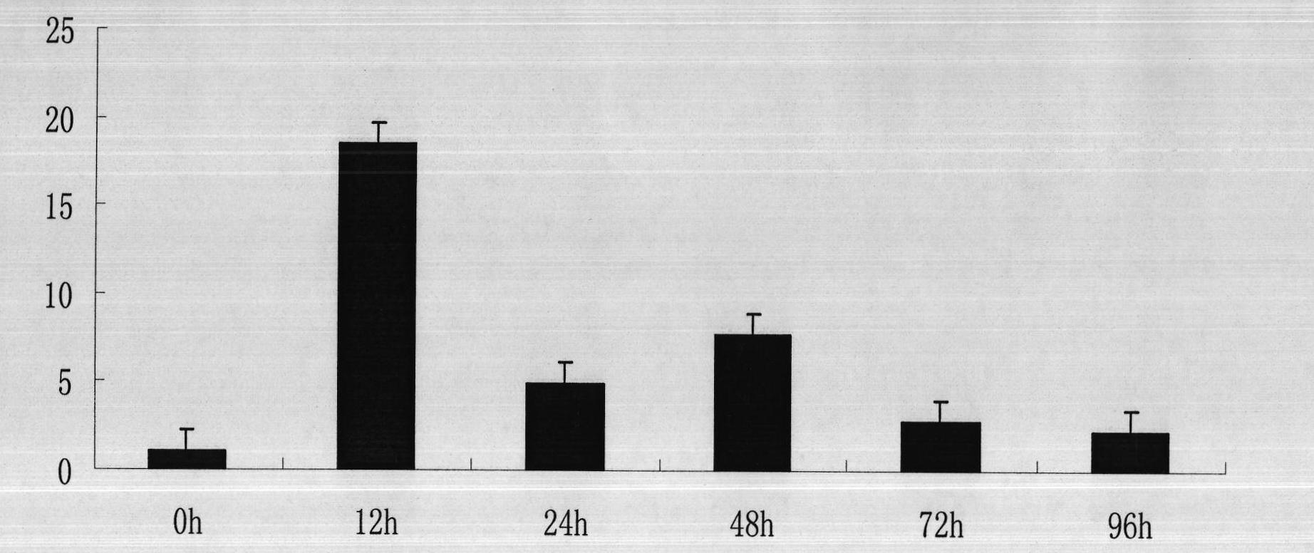 Plant resistance associated protein MYB, as well as coding gene and application thereof