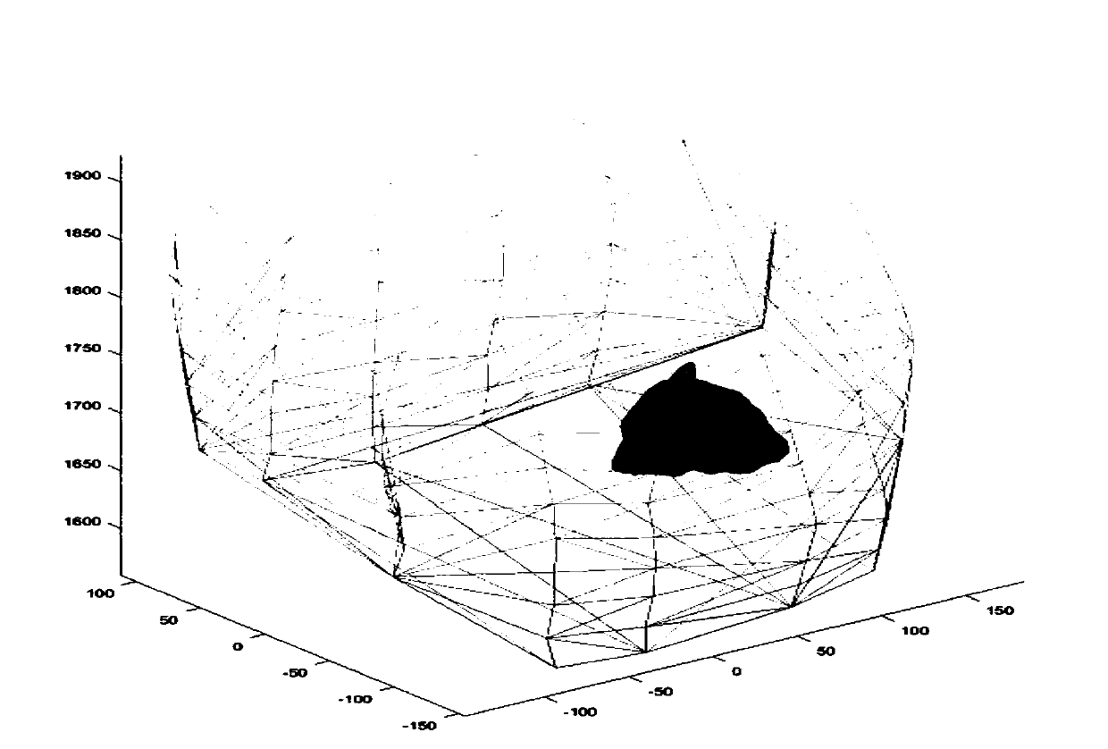 Non-invasive cardiac potential reconstruction method based on low-rank and sparse constraints and non-local total variation