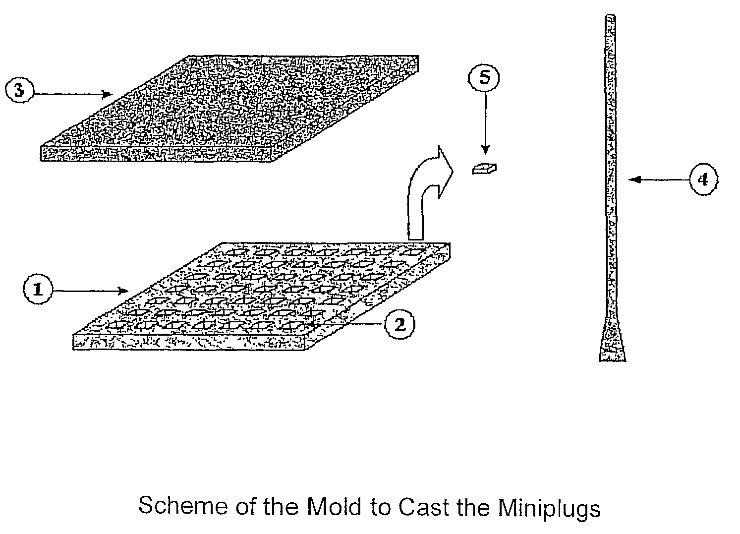 Method for rapid typification of microorganisms and set of reagents used