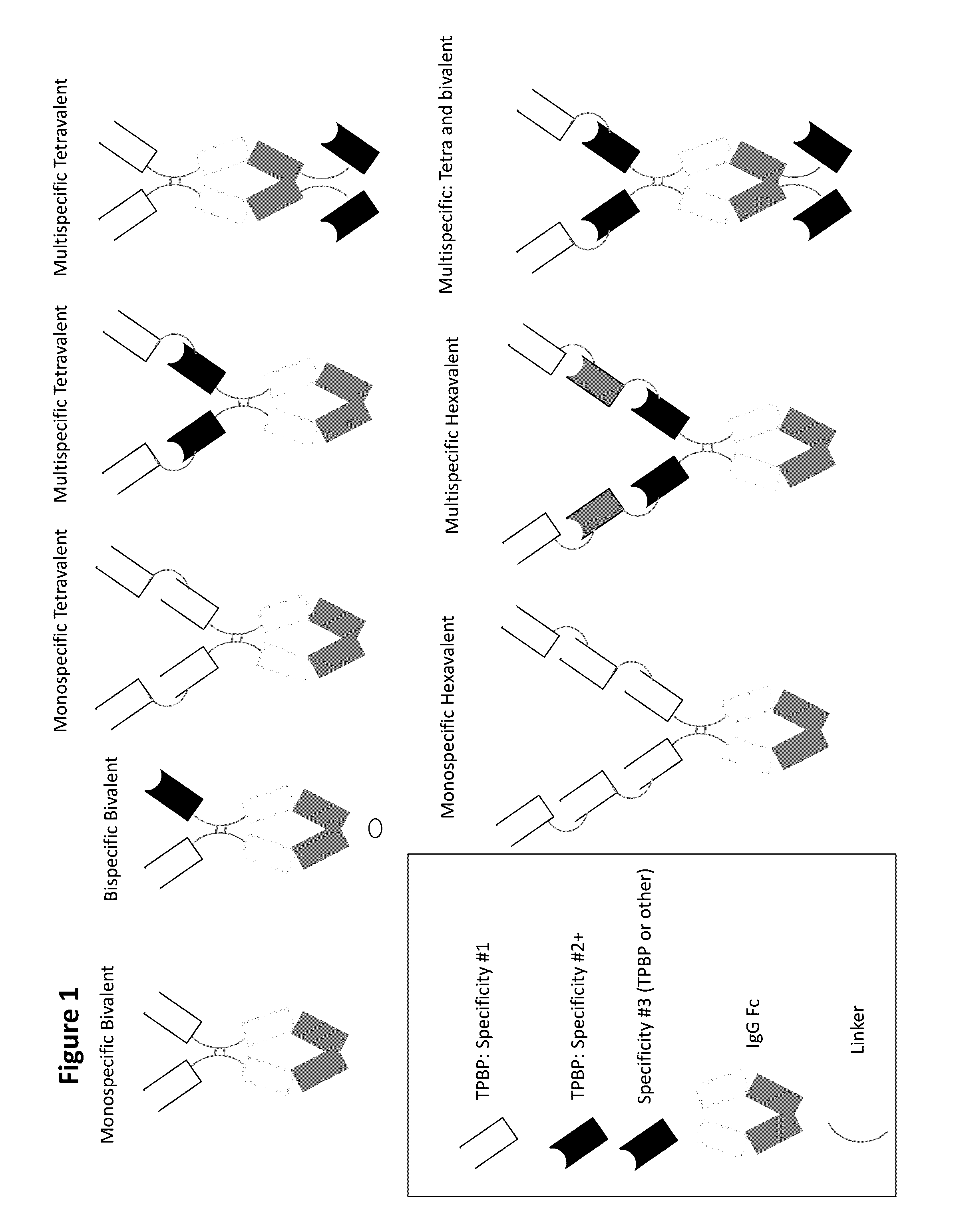 Type iii secretion system targeting molecules