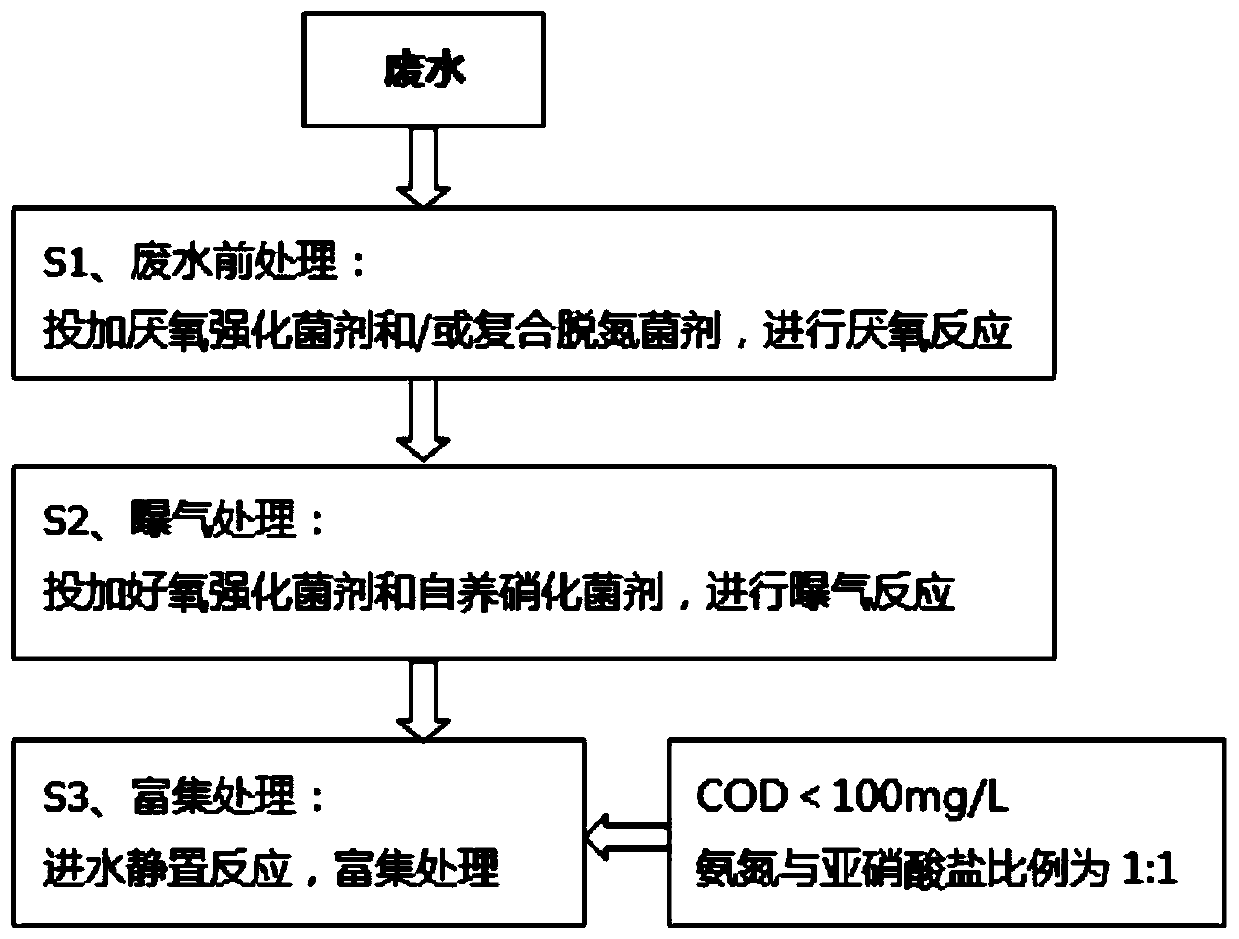 Enrichment method of anaerobic ammonia-oxidizing bacteria