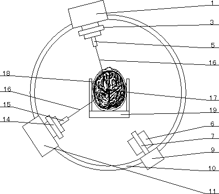 A dual-nuclear radioactive source focusing device for treatment