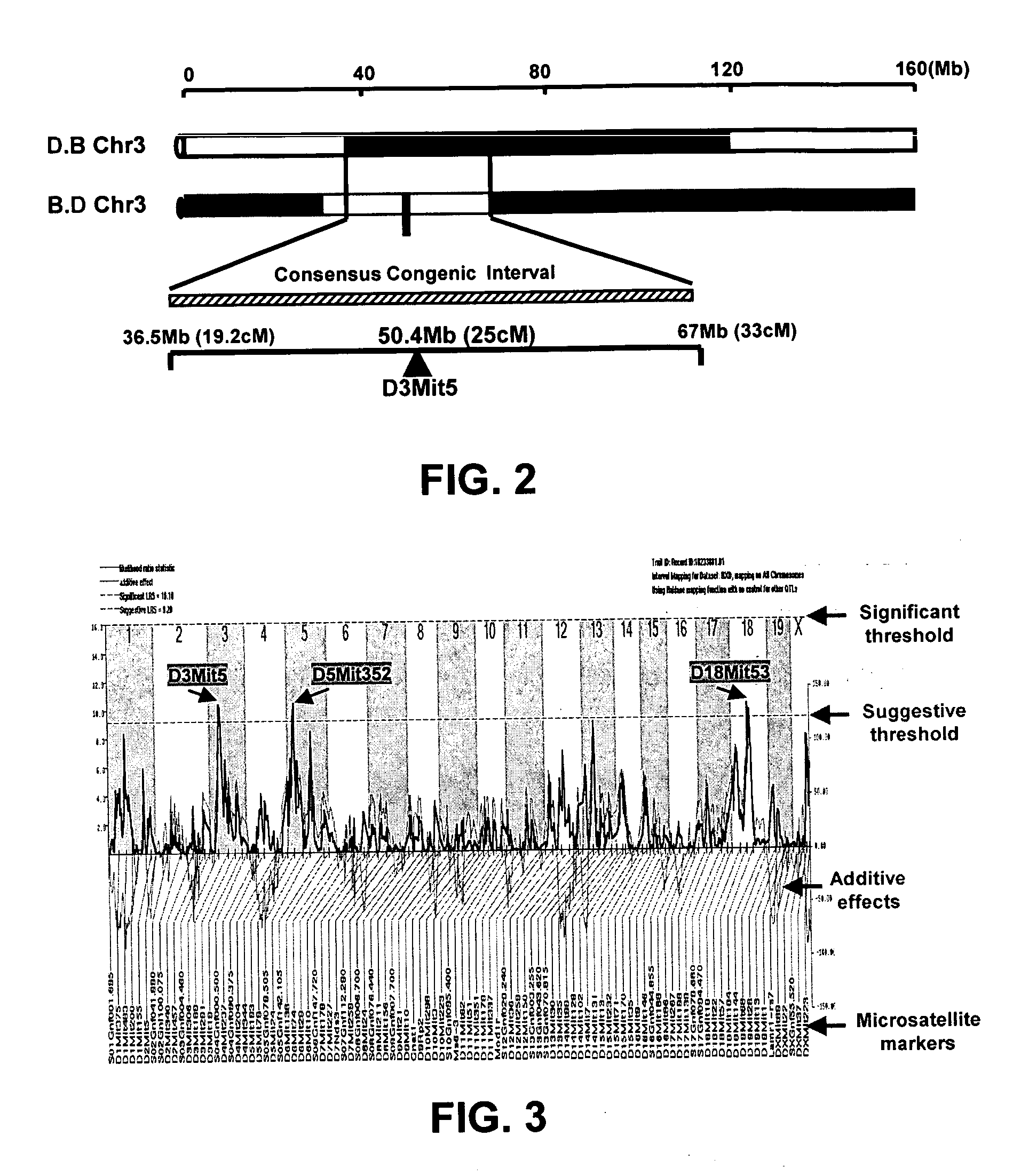 Ex vivo and in vivo methods and related compositions for generating hematopoietic stem cell populations