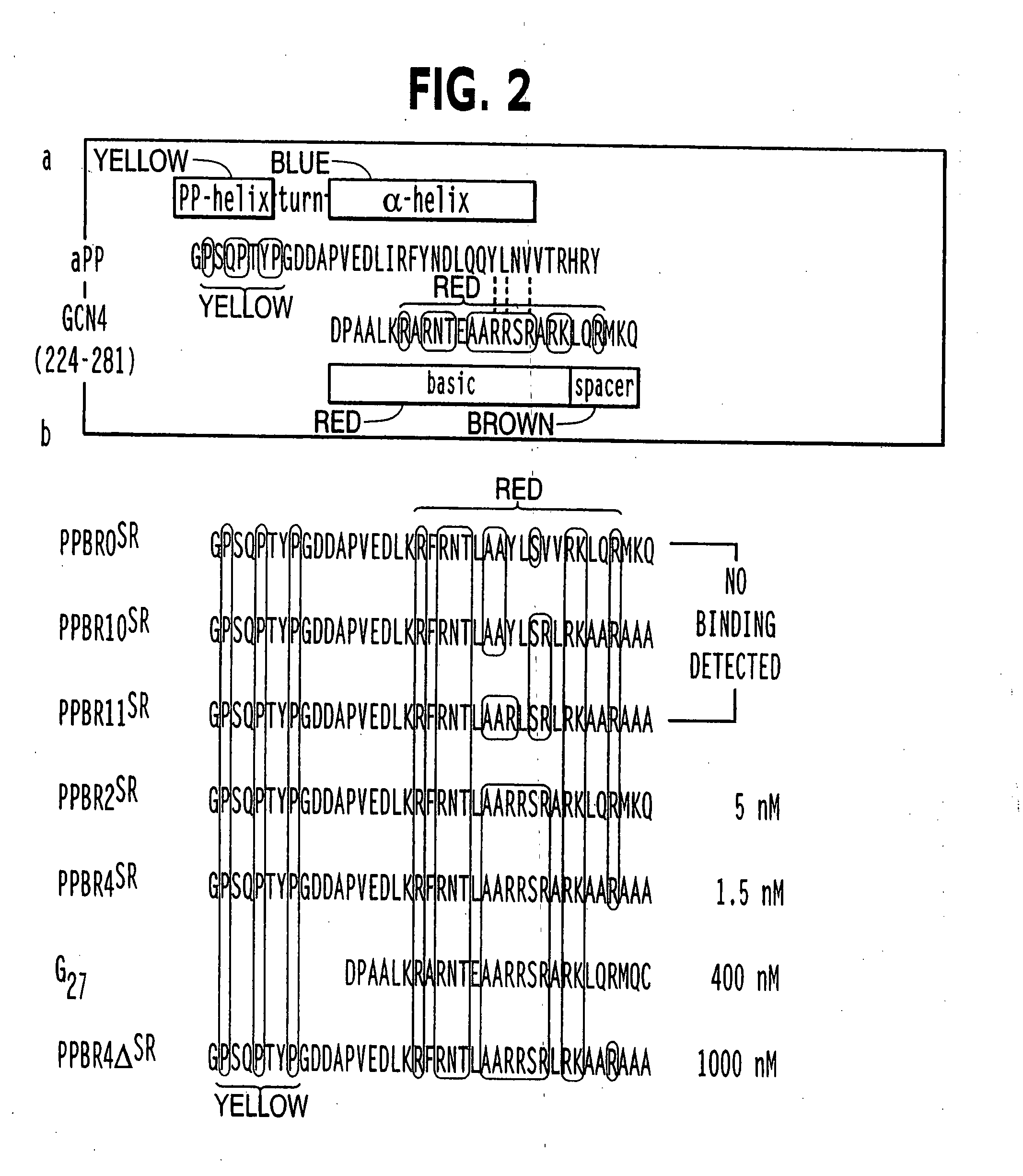 DNA & protein binding miniature proteins